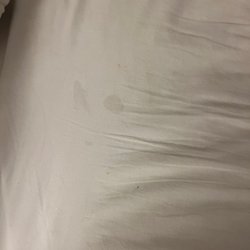 Econo Lodge - Bed Sheet