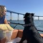 Carefree Boat Club of Southern California