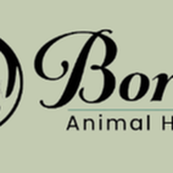 Bortell Animal Hospital - untitled - Veterinarians Near Me - Bloomington, Illinois Bortell Animal Hospital - untitled - Veterinarians Near Me - Bloomington, Illinois