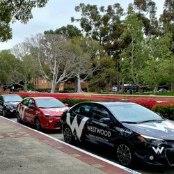 Westwood Driving School - A few of the Westwood Instruction cars ready to teach safe driving.