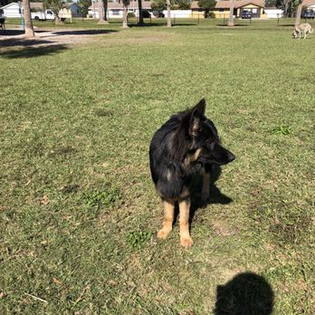 Apollo Beach Dog Park - Dog Parks Near Me - Apollo Beach, Florida Apollo Beach Dog Park - Dog Parks Near Me - Apollo Beach, Florida