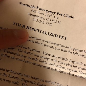 northside emergency pet clinic