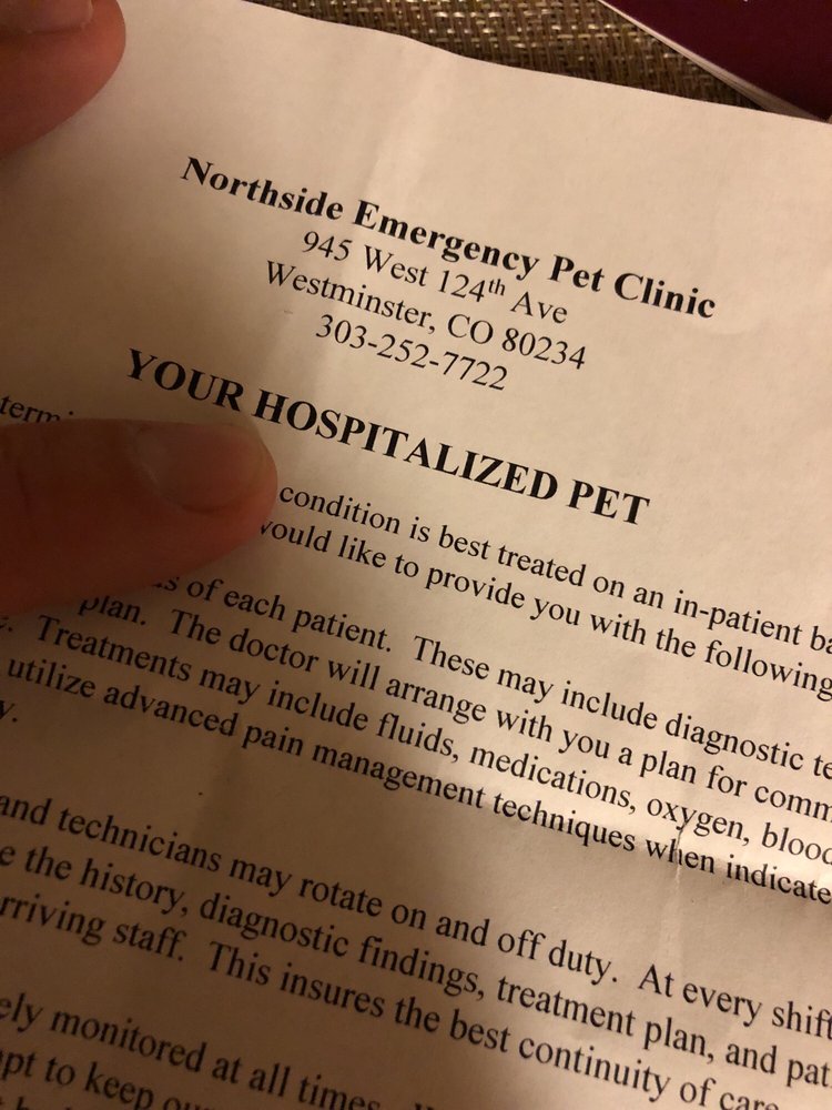 northside emergency vet clinic