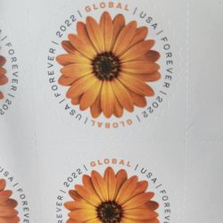 US Post Office - African Daisy 2022 Global Forever Stamp