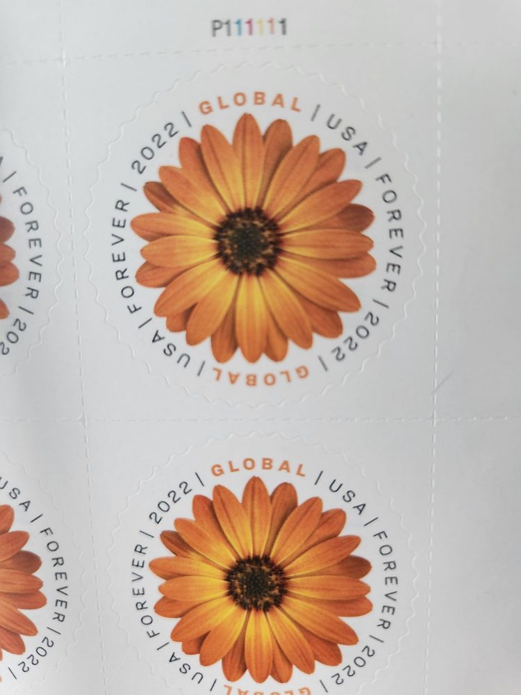 US POST OFFICE with photos Updated August 2024 15 Photos 216 Cumberland St, Rochester, New