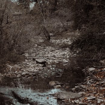 Shoal Creek Trail - Hiking Near Me - Austin, Texas Shoal Creek Trail - Hiking Near Me - Austin, Texas