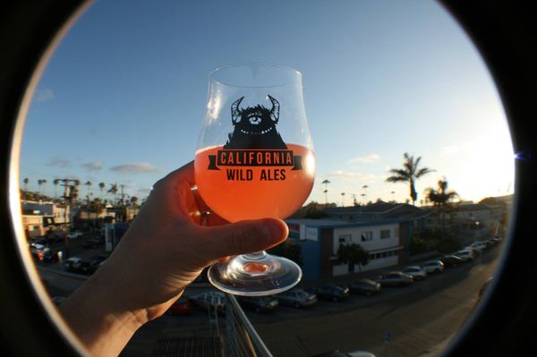 California Wild Ales by null