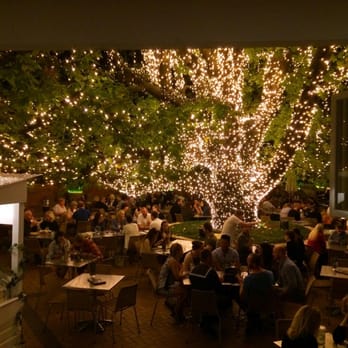 Oaks Hotel - The FAB Tree on the Patio - Hotels Near Me - Neutral Bay, NSW
