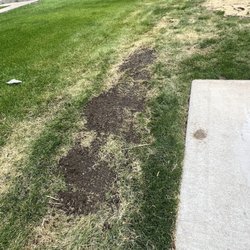 D'Angelos Landscaping