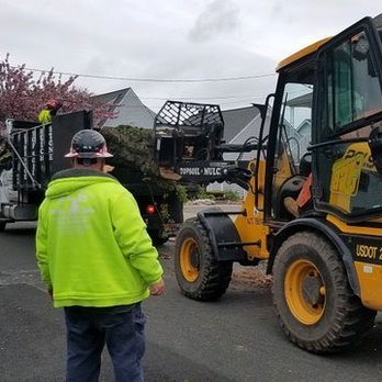 Al D Landscaping & Tree Service - Landscaping Near Me - Fairview, New Jersey Al D Landscaping & Tree Service - Landscaping Near Me - Fairview, New Jersey