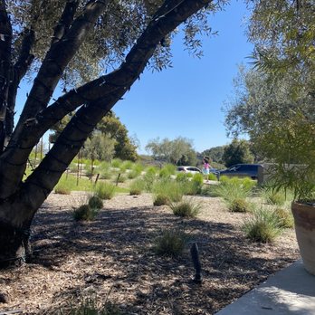 My Favorite Neighbor - View from our outdoor patio seat- lovely intimate ambiance - Wine Tasting Room Near Me - Paso Robles, California My Favorite Neighbor - View from our outdoor patio seat- lovely intimate ambiance - Wine Tasting Room Near Me - Paso Robles, California
