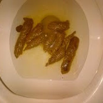 Moe's Southwest Grill - THIS IS WHAT MOE'S DID TO MEEE!! - Tex-Mex Near Me - Rome, New York Moe's Southwest Grill - THIS IS WHAT MOE'S DID TO MEEE!! - Tex-Mex Near Me - Rome, New York