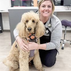 STATVet Animal Urgent Care