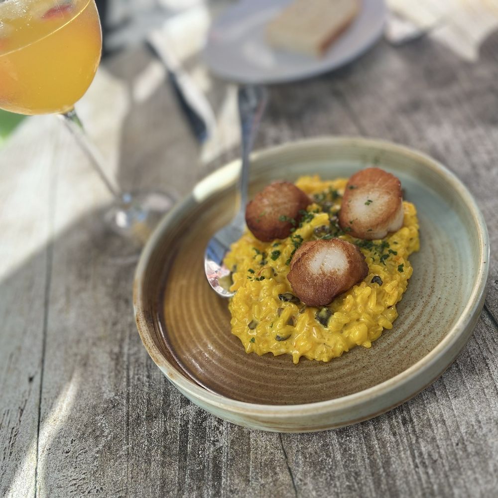 Spain Wine Bar - Scallops and risotto - Wine Bars Near Me - Ocean City, Maryland Spain Wine Bar - Scallops and risotto - Wine Bars Near Me - Ocean City, Maryland