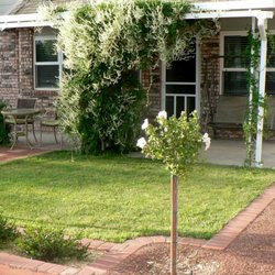 Nicole Decor & Design - Landscape design with small lawn, vines, trees, & brick border.