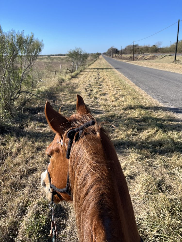 RH RIDING LESSONS Updated April 2024 Odem, Texas Horseback Riding