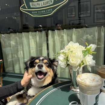 Ralph's Coffee - Coffee & Tea Near Me - Palo Alto, California