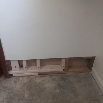 Bee Removal Services - Drywall - Pest Control Near Me - Tulare, California Bee Removal Services - Drywall - Pest Control Near Me - Tulare, California
