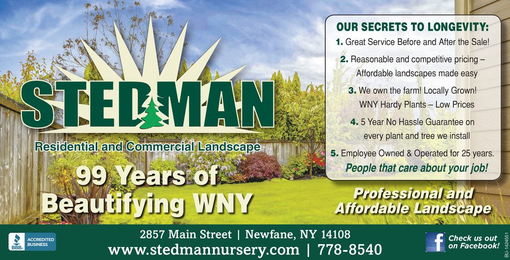 STEDMAN OLD FARM NURSERIES Updated October 2024 2857 Main St