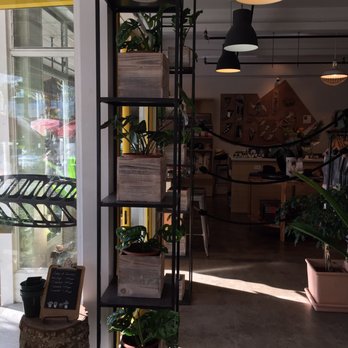 Paiko - Florists Near Me - Honolulu, Hawaii