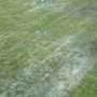 Photo of New Vision Landscape Design
