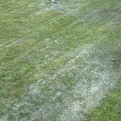 New Vision Landscape Design - Flooded yard after sprinkler.