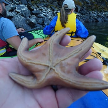 Southeast Sea Kayaks - Tours Near Me - Ketchikan, Alaska Southeast Sea Kayaks - Tours Near Me - Ketchikan, Alaska