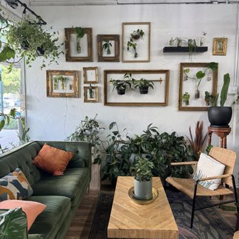 Habitat Plants + Coffee - Coffee & Tea Near Me - McKinney, Texas