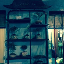 Sushi Gami - Bonsai Garden at Sushi Gami