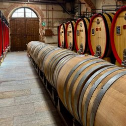 Marchesi di Barolo