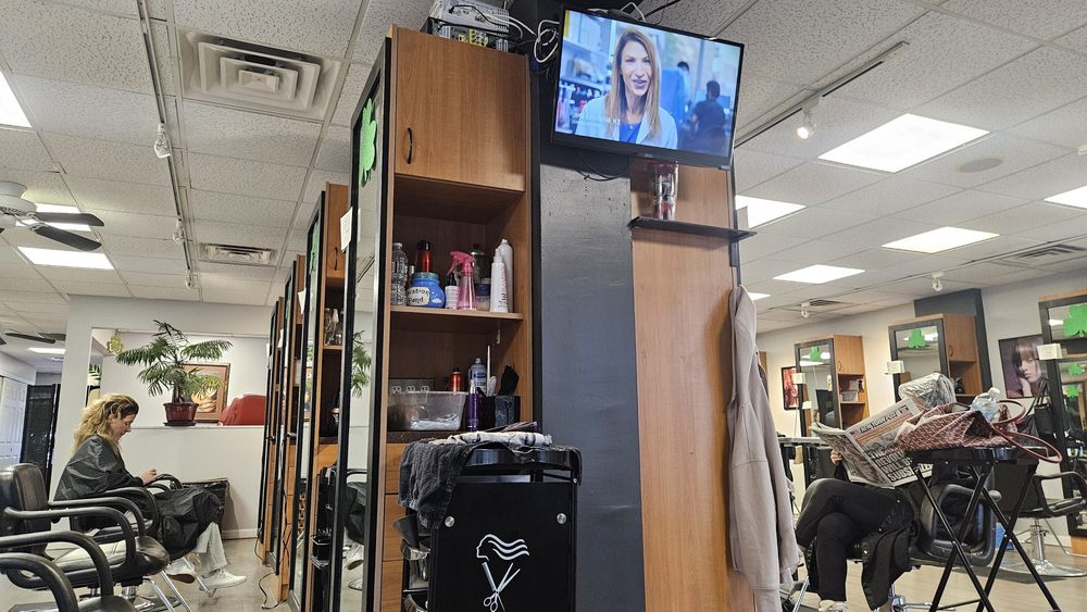 Capelli E Mani Design Logo