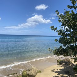 Rincon Diving & Snorkeling
