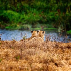 Tanzania Outdoor Adventures, LLC