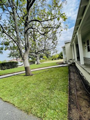 Tree Service & Lawn Maintenance - We are a full-service company, which means that we can tackle just about any project or demand. Whether you need sod installation or mulch installation services, we're the ones to call. We provide quick, efficient, and superior quality landscaping and yard maintenance services, making us your premier landscaping company in the Pasadena area. Tree Service & Lawn Maintenance - We are a full-service company, which means that we can tackle just about any project or demand. Whether you need sod installation or mulch installation services, we're the ones to call. We provide quick, efficient, and superior quality landscaping and yard maintenance services, making us your premier landscaping company in the Pasadena area.