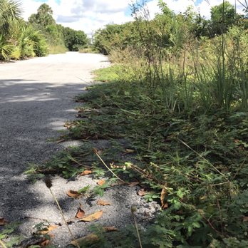 Plantation Preserve Linear Trail - Paved walkway with Natural landscape - Parks Near Me - Plantation, Florida