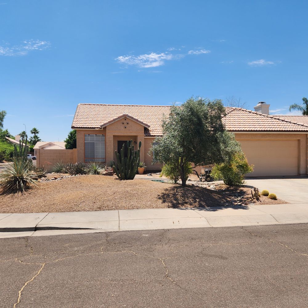 Arizona Tree Team | Phoenix Tree Removal | Trimming - The big mesquite tree and stump are now gone in this photo. - Tree Services Near Me - Phoenix, Arizona