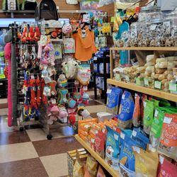 Pet Paradise