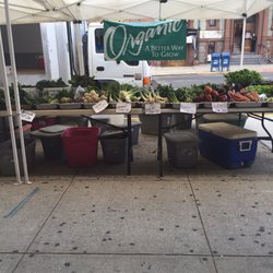Fresh organic produce each week