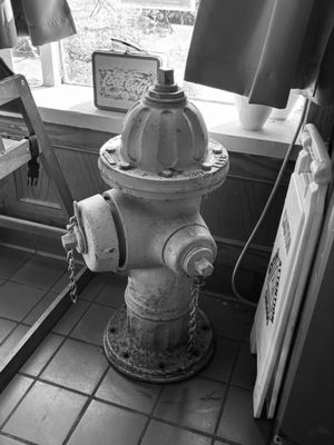 Shut Up and Eat by null