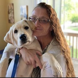 Kennel Resorts - My sweet boy