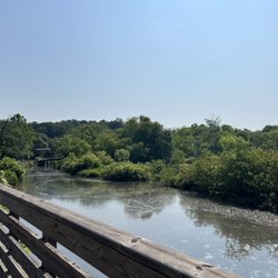 Azalea Park