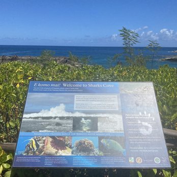 Shark's Cove - 8-3-22 - Beaches Near Me - Haleiwa, Hawaii Shark's Cove - 8-3-22 - Beaches Near Me - Haleiwa, Hawaii
