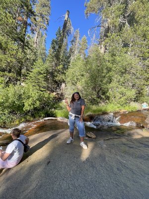 Sequoia National Forest by null