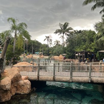 Discovery Cove - Part of the Coral Reef. - Amusement Parks Near Me - Orlando, Florida Discovery Cove - Part of the Coral Reef. - Amusement Parks Near Me - Orlando, Florida