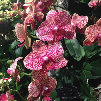 Chicago Botanic Garden - Botanical Gardens Near Me - Glencoe, Illinois