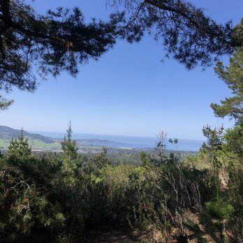 Jacks Peak County Park - Trees/view of ocean - Parks Near Me - Monterey, California