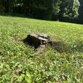 The Davey Tree Expert Company - A tree they cut down that was supposed to level so we can mow over it - Tree Services Near Me - Monroeville, Pennsylvania The Davey Tree Expert Company - A tree they cut down that was supposed to level so we can mow over it - Tree Services Near Me - Monroeville, Pennsylvania