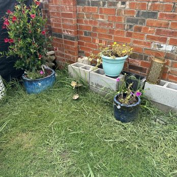 Executive Lawn Care - Lawn Services Near Me - Frisco, Texas Executive Lawn Care - Lawn Services Near Me - Frisco, Texas