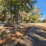Photo of Saab Park