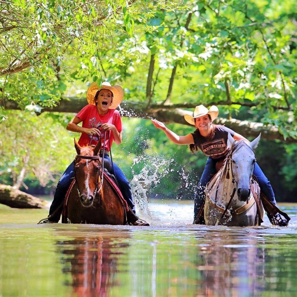 THE BEST 10 Horseback Riding near Bryson City, NC 28713 Last Updated September 2021 Yelp